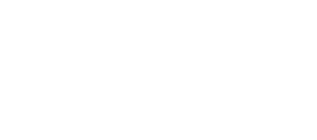 SEM Cleaning Service logo wit